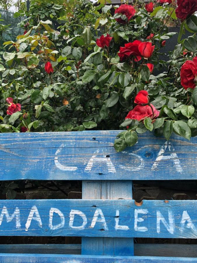 Casa Maddalena Apartment Vicoforte Ngoại thất bức ảnh